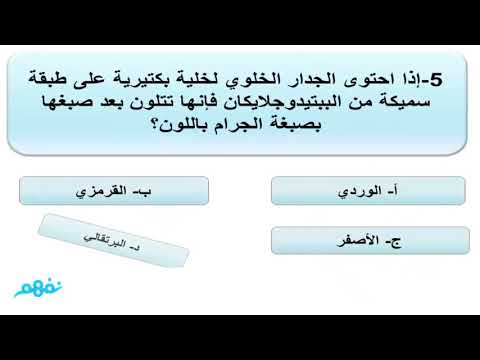 التصنيف والبكتريا والفيروسات - دورة تحصيلي الأحياء - المنهج السعودي - نفهم