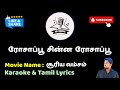 Rosapoo Chinna Rosapoo HD Karaoke Tamil Lyrics Mr Karaoke