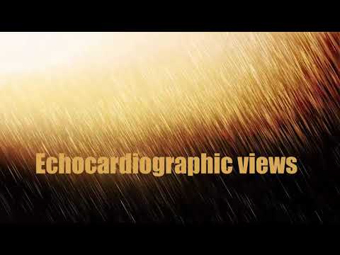 Trans-thoracic echo views for beginners (Dr Mohamed Abdebasit) شرح ايكو للمبتددئين