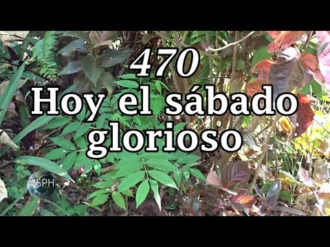 HA62 | Himno 470 | Hoy el sábado glorioso