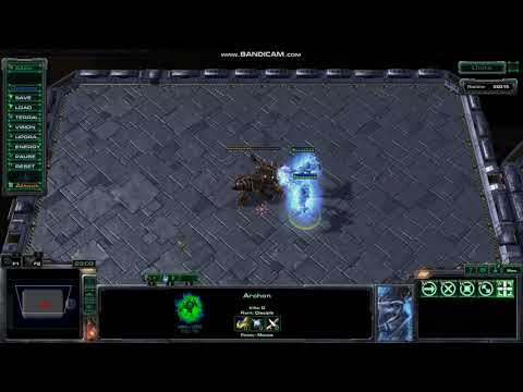 1 Ultralisk vs 1 Archon - Starcraft 2