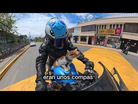 Rodada con el Michi ( lo vamos a castrar )