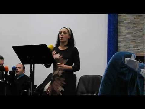 Nicoleta Dragos  O noapte Sfanta