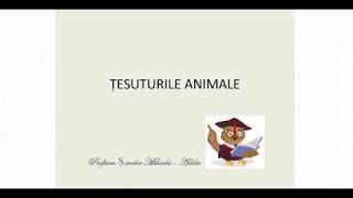ŢESUTURILE ANIMALE