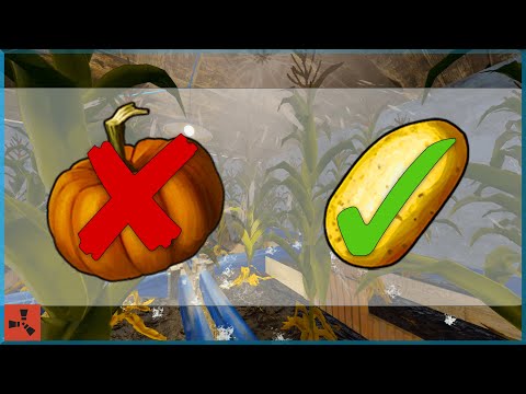 STOP Growing Pumpkins in Rust!