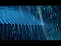 Tropical Thunderstorm Rain Sounds For Sleeping Relaxing Rumbling Storm Equatorial Ambience