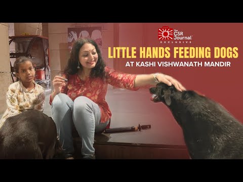 Little Hands Feeding Dogs at Kashi Vishwanath Mandir