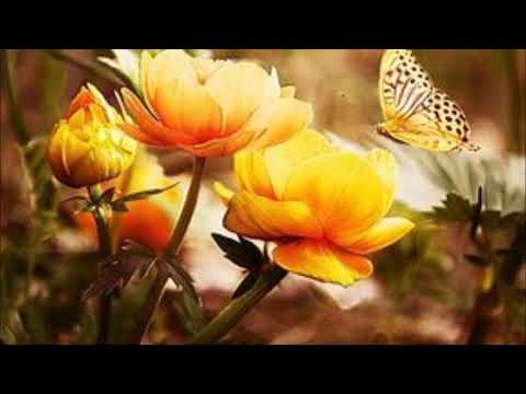 Toca do Baú Millennium I - Need You Now - Adele e Darius Rucker