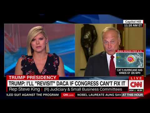 Congressman Steve King tells CNN: "DACA is an unconstitutional Amnesty."
