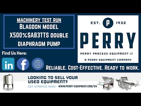 BLAGDON X5005SAB3TTS Pompe à membrane | Perry Equipment (1)