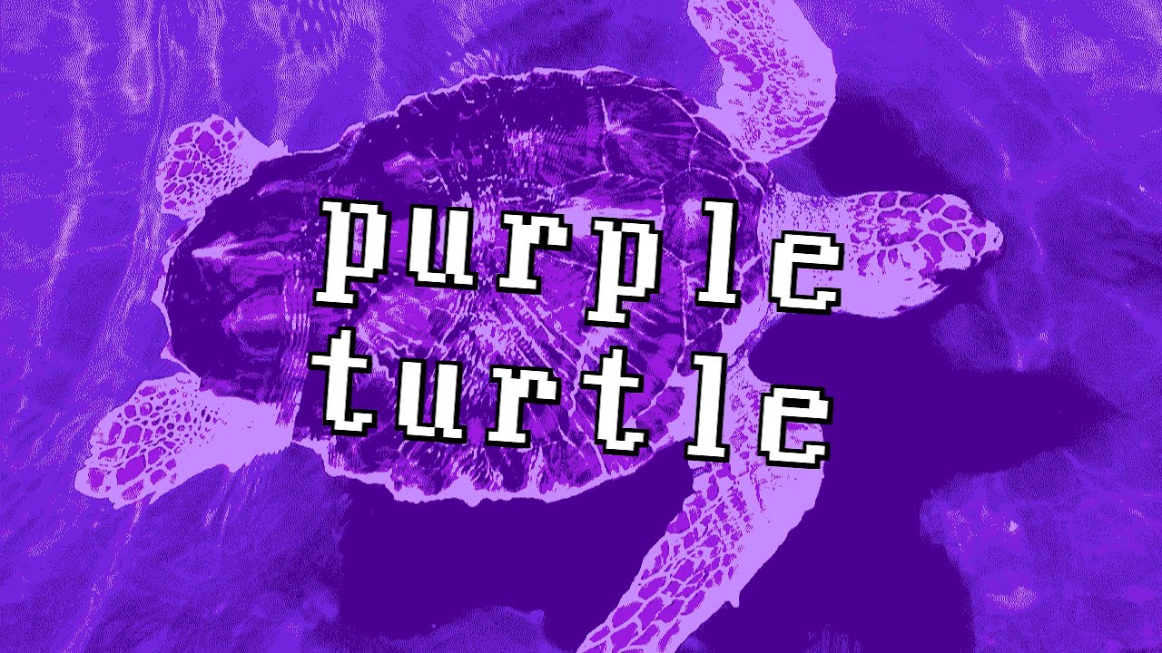 PURPLE TURTLE | EP