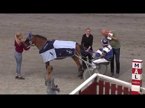 3/6 2018: Ponnytrav Skellefteå, Lopp 5