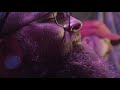Teddy Swims - Basket Case (Sara Bareilles Live Cover)