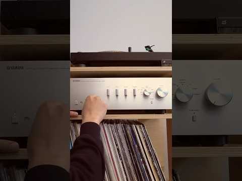 Yamaha A-S501 Integrated Amplifier