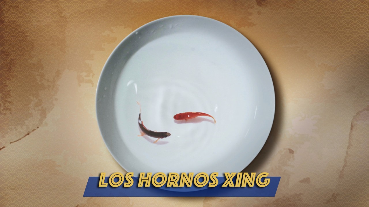 Al norte del gran río, una tierra pletórica de cultura | Los hornos Xing