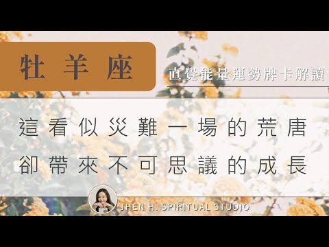 能量牌