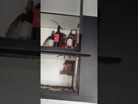 Video thumb