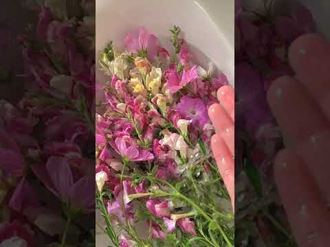 #29.Beautiful Flowers🌸🌺🌻🌹🌷🌼💐