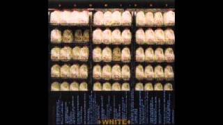 Kites - The Hidden Family