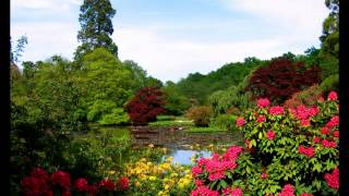 Saint Etienne   He's on the Phone