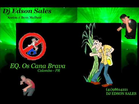 DJ EDSON SALES  FEAT MC LEANDRINHO ( EQ OS CANA BRAVA )