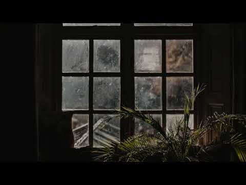 Studying with poets long gone - A DARK ACADEMIA PLAYLIST classical