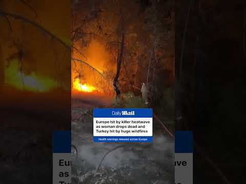 Europe hit by major heatwave causing wildfires in Turkey