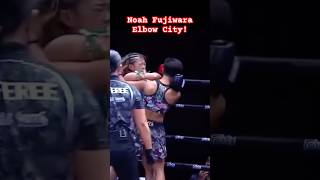 Download lagu Vicious Elbows - Fujiwara Muay Thai fight mp3