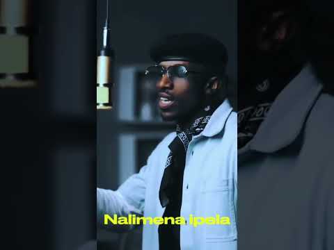 Kalifunku is his natural ground, Numero Uno #music #rap #lyrics #chef187 #vibration #mikha