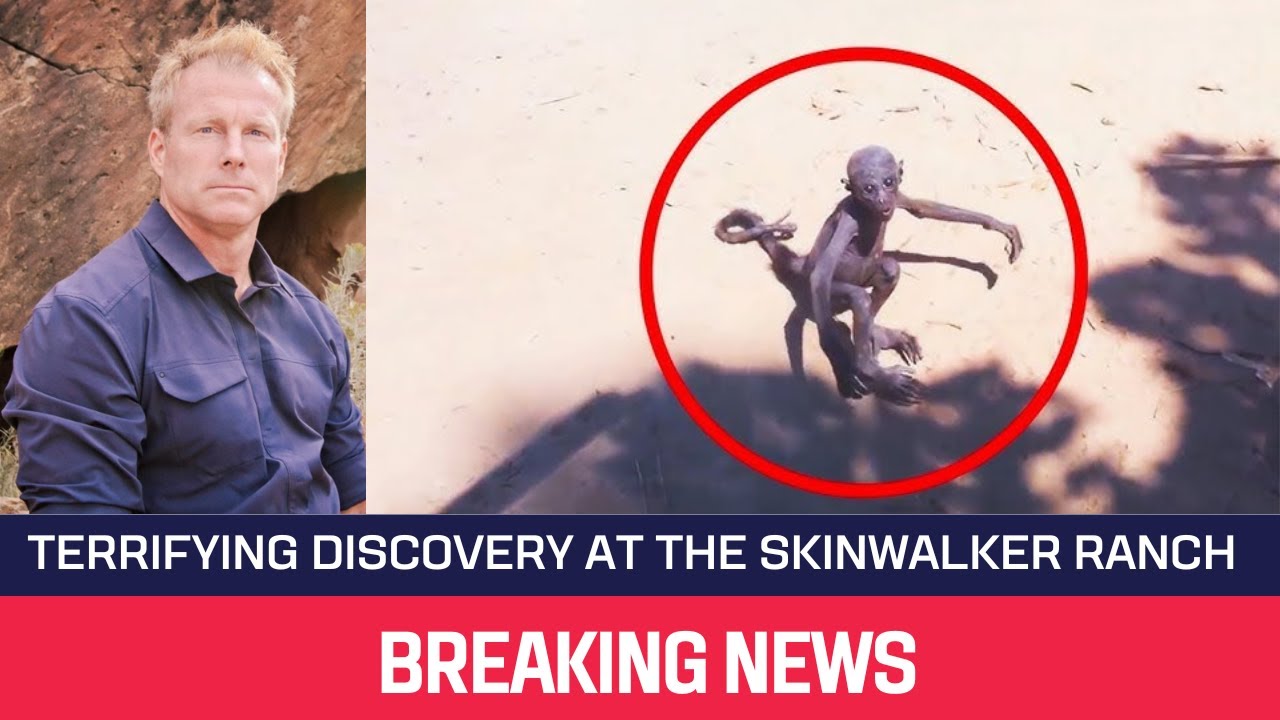 YouTube Thumbnail Downloader FULL HQ IMAGE