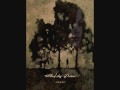 Bleed The Dream - Black Sky's 