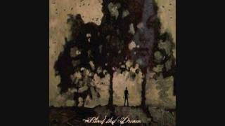 Bleed The Dream -  Black Sky's