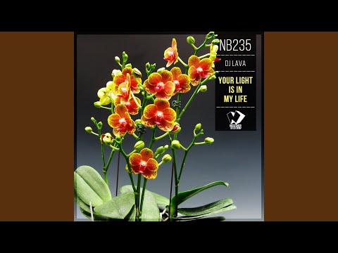 Your Light Is in My Life (Original Mix)