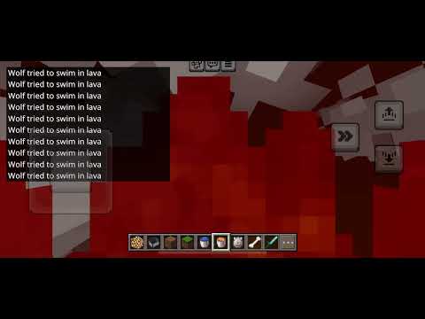 Wolf tried to swim in lava