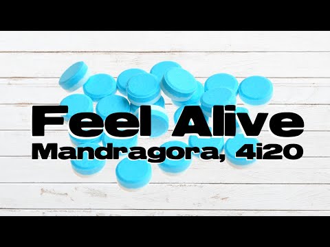 Mandragora & 4i20 - Feel Alive (Original Mix)