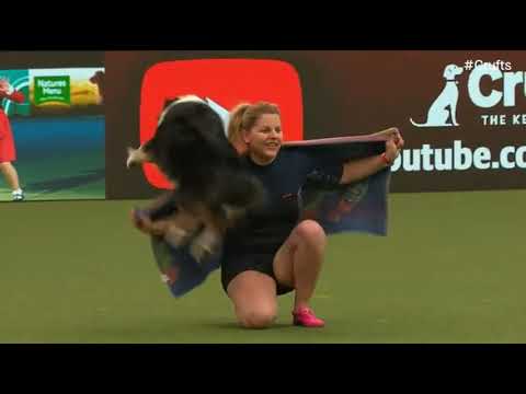 Crufts 2023 International Heelwork to Music Freestyle - Christine & Meredith - Hungary