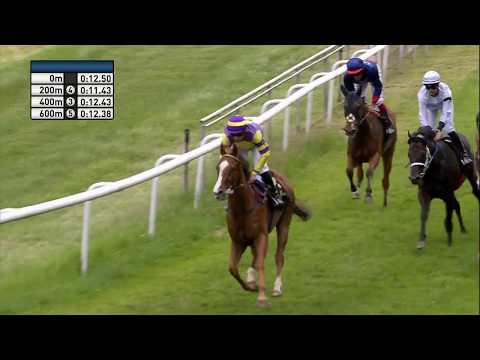 Galopprennbahn Dresden 16.06.2018 - Rennen 7