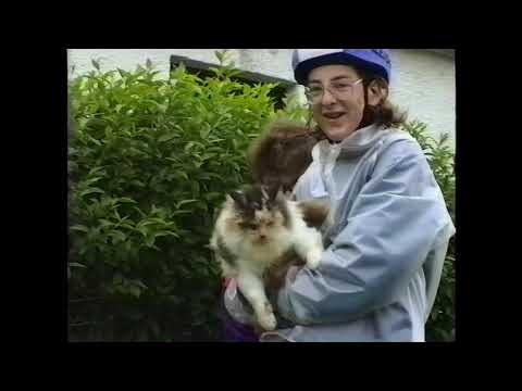 11 Aug 1993 · Official video of today's ride - 2021 Full Remaster