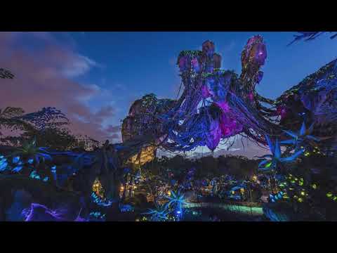 Animal Kingdom Pandora at Night - 8 Hour Loop