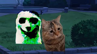 【ホラー猫ミーム】放課後肝試しに行った猫たち