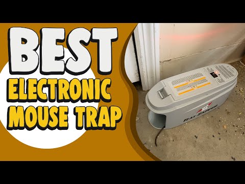Best Electronic Mouse Trap in 2022 – A Complete Guide to Watch!