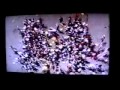 Musique Pour Enfants Chansons Pour Les Petits Oggy Et Les Cafards Trotro