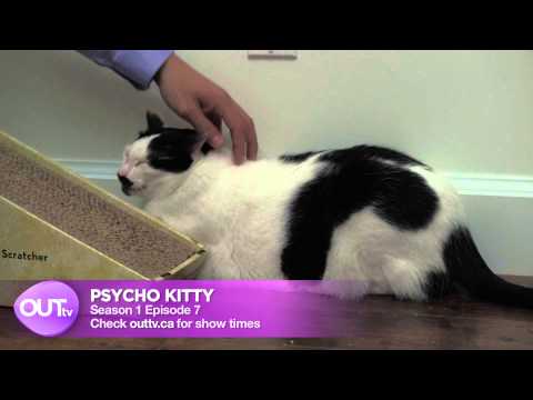 Psycho Kitty | Season 1 Episode 7 trailer