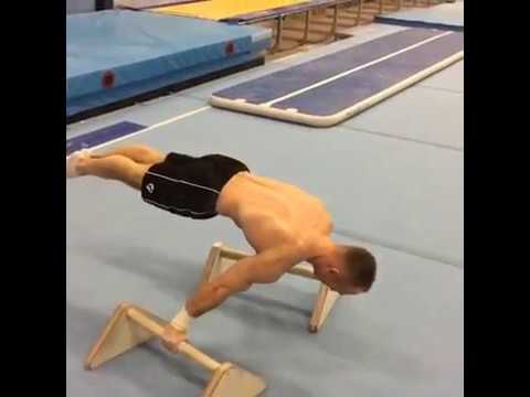 Van gelder planche press session