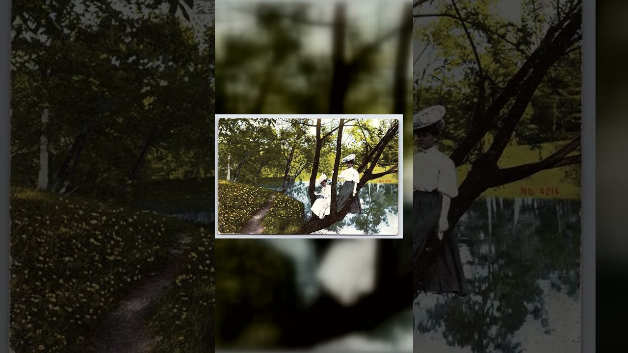 Emery Creek, Divided Back Postcard, Lake City, Minn, 1910s Video