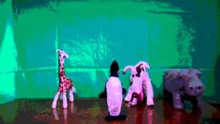 Animal Animation - Abracadabra - Flap!