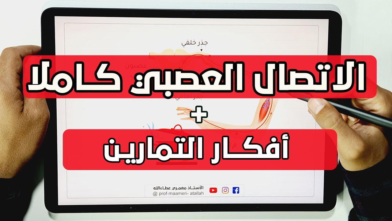 مراجعة علوم طبيعية  4 متوسط الاتصال العصبي | ملخص علوم طبيعية 4 متوسط الفصل الثال