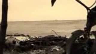 Download lagu POHON UNTUK KEHIDUPAN mp3