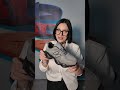 Кросівки жіночі екошкіра замша 596153 Сірий Відео
