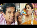 Gabbar Singh Movie Brahmanandam Comedy Scenes Back To Back Latest Telugu Scenes Sri Balaji Video